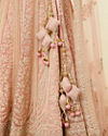Light Pink Imperial Paisley Patterned Lehenga image number 3